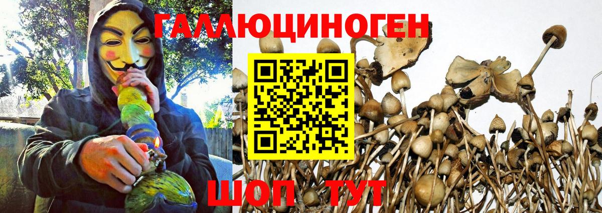 Галлюциногенные грибы Magic Shrooms Мичуринск