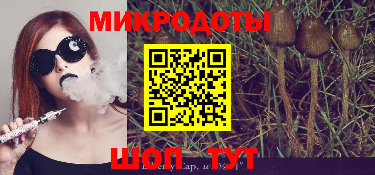 Мичуринск  Галлюциногенные грибы Psilocybine cubensis  Псилоцибиновые грибы GOLDEN TEACHER  Вход с VPN 